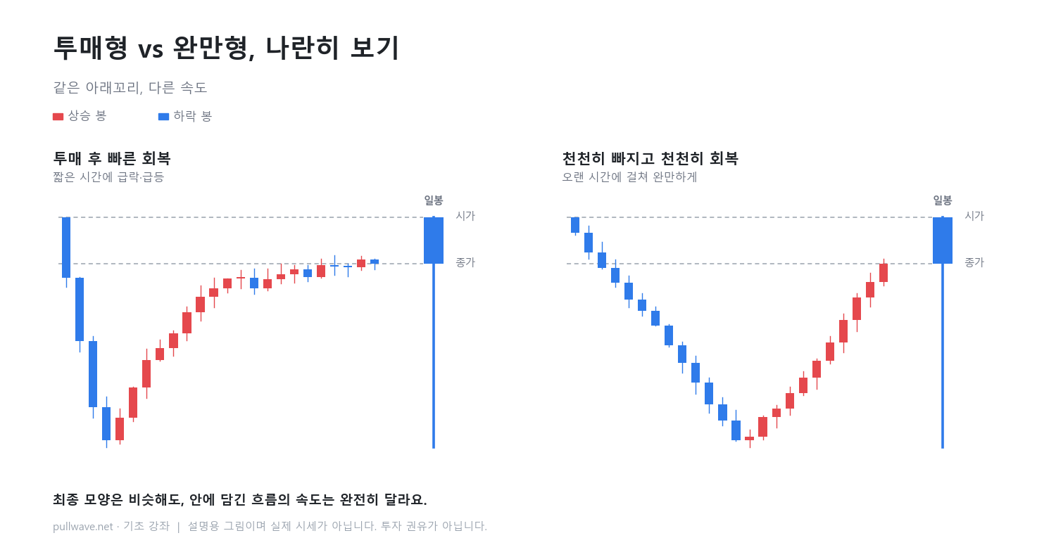 아래꼬리는 어떻게 생기나: 투매형과 완만형 1