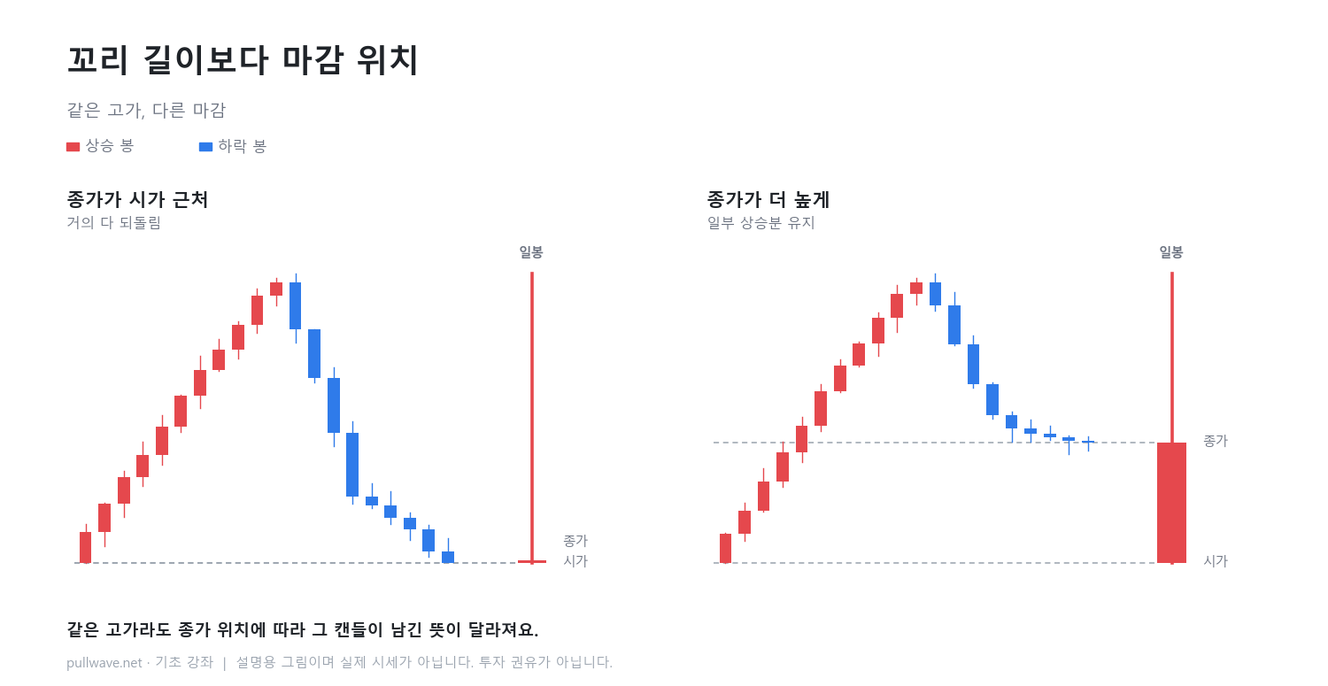 윗꼬리는 어떻게 생기나 3